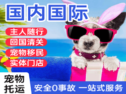 上海机场货运国际宠物托运 【国